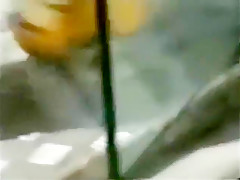 pieds dOrleacute;ans (1997) 1 smelling feet