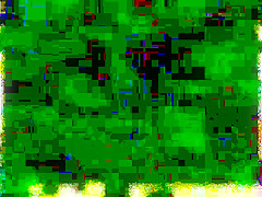 pieds dOrleacute;ans (1997) 1 smelling feet