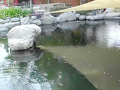 BESTBLOWJOBS.XXX - Jezabel Vessir Second Appearance