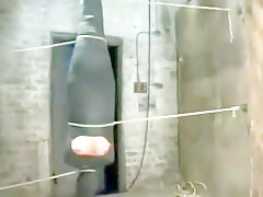 wssa 31