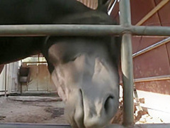 Blonde enjoys pounding at the ranch-