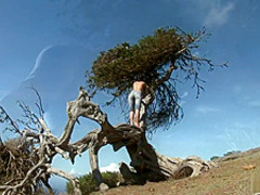 Naked by the Joshua Tree