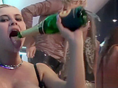 Sexy babes get naughty in the club