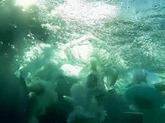 Spring break orgy party - Brazzers