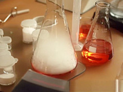 KELLY MADISON Sexual Chemistry