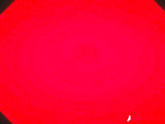 DP Star 3 - Big Tit Blonde Pornstar Britney Amber Deep Throat Blowjob