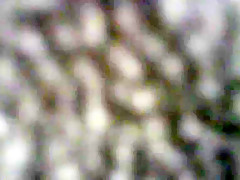 No Panties in Sweatpants