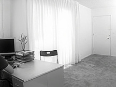 Lifetime Boobies Pass