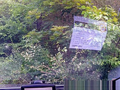 Unbelievable Reality - Strangers Voyeurs Watching Czech TAXI car in action