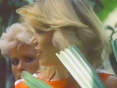 Roxanne Rollan Tropical Island