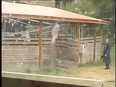 Can I Suck That Cock For Ya?