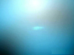 Horny college Latina sucks dick so well it erupts