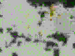 Seventies TC Show Porn parody