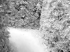 On Fait Une Balade Coquine Dans Un Coin De Nature Cool =D