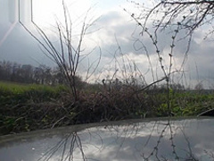 FUN MOVIES Sexy Amateur Teen in the car