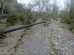 Perfect Tits Amateur Milf gets Outdoor Facial POV