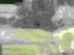 Staci Carr and her girlfriend celebrate