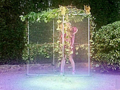 Fucking like in a fairy tale