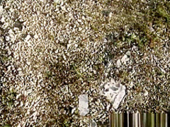 American teen looking for a ride ends up getting fucked