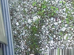 American teen looking for a ride ends up getting fucked