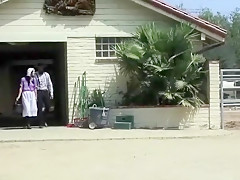 Aidra Fox is naughty AMISH TEEN carrying out her cock sucking chores!