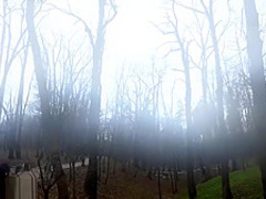 Jeny Smith flashing in public