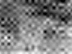 Inked blonde boned lures us into her lair