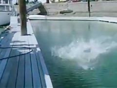 Oldies But Goldies 827