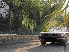 When Girls Play - Bad ass cowgirls Ariana Marie and Nicole Aniston lick pus