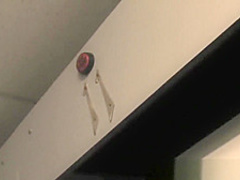 Babe share black cock