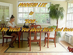 SON Let me teach you about the birds and the bees