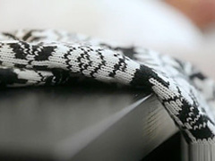 All about those tender feet