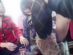 Pussy tryouts on the bus