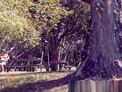 PORNFIDELITY Iris Rose Uses Her Perky Young Tits on Dirty Old Man