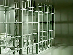 MoniqueCovetPeterNorth