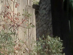 Airing out her pussy