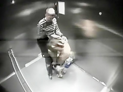 Stranger fucks girls in elevator