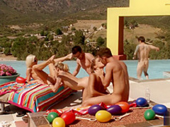 Three bitches carrying eggs Part 5