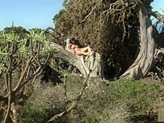 Monika tanning her perkies