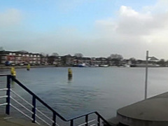 Amateur black babe loves a white dick