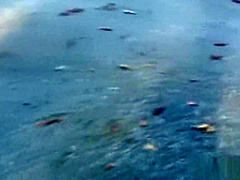 Redhead Teen Fucked Outdoors Ends With A Facial