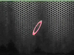 Busty Big Tits at the Pool! Vicky Vette & Nikki Benz!