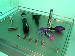 Pussy adventures II: Electric boogaloo