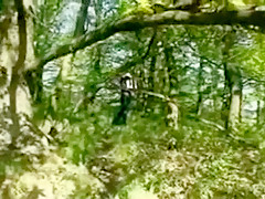 Outdoor yo Fucks Stranger Motorist