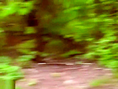 Jeny Smith flashing her cunt in public