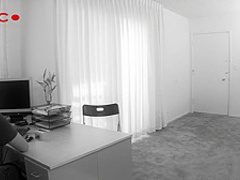 The perfect pair of tits