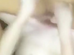 Amateur Periscope Collection