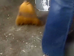 Sexy Erika Vution opens up to get her pussy licked