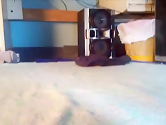 ass cum mariaputa in shorcito