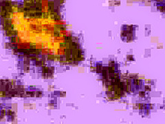 TEENFIDELITY Haley Reed Hardcore POV Creampie